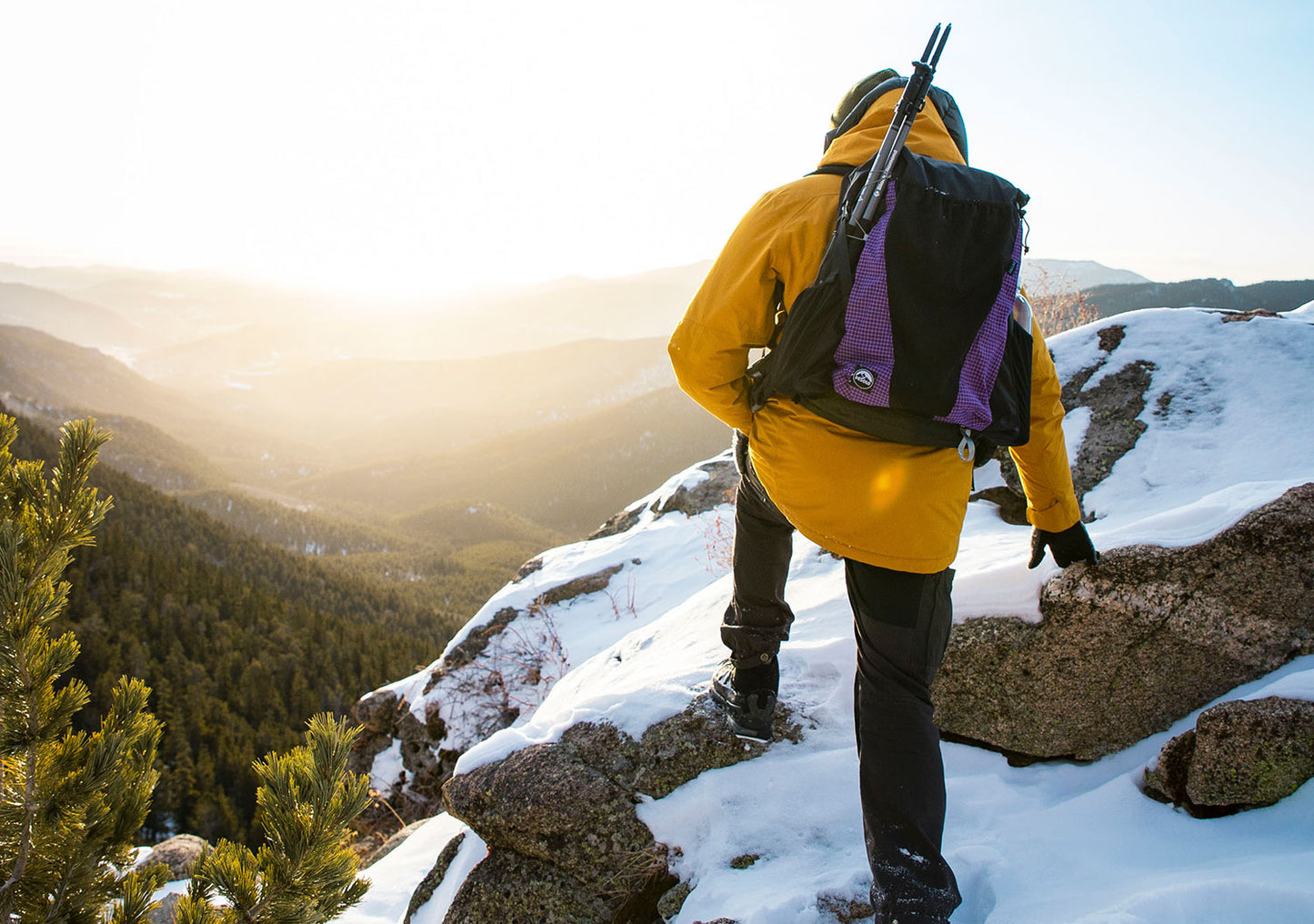 Tallac35 Ultralight Backpack - Purple